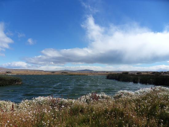 Laguna Nimez