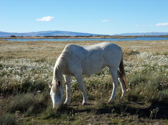 Laguna Nimez